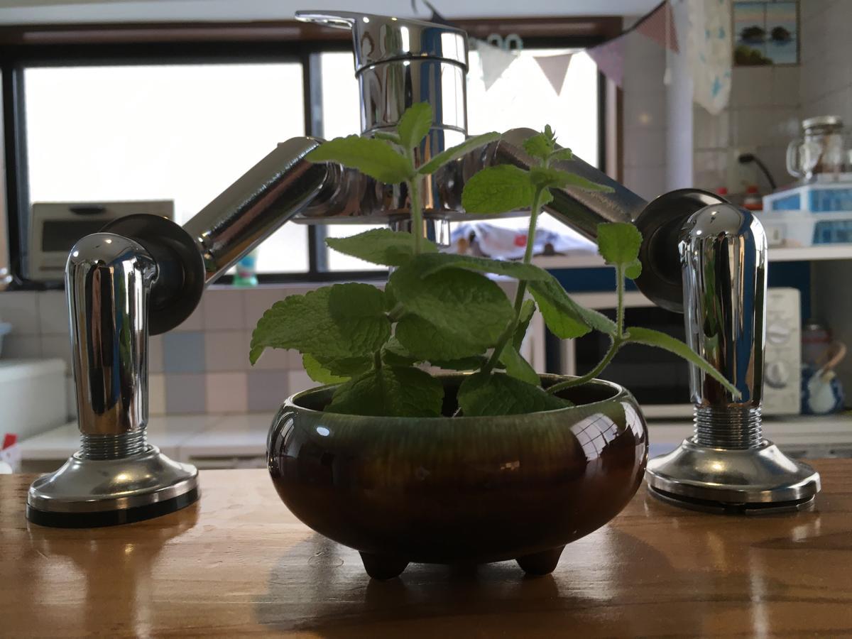 Ilca Guest House Kagoshima Luaran gambar